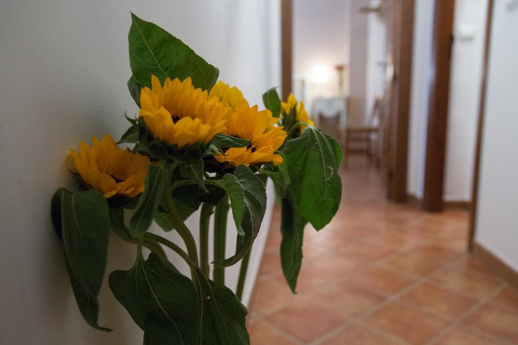 Casa Rural Migolla Osuna Dış mekan fotoğraf